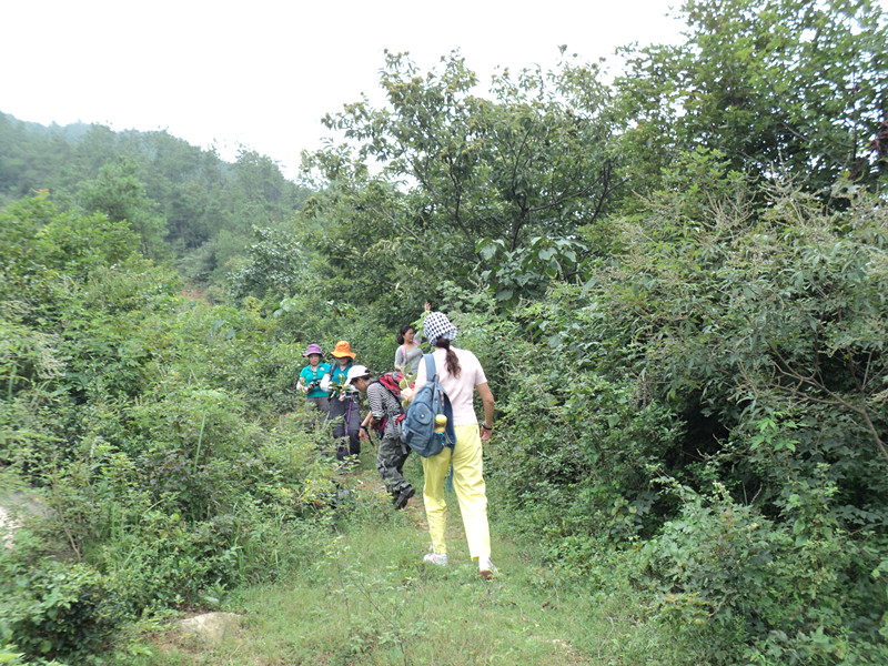 dsc05790_.jpg