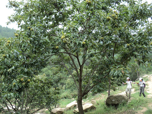 dsc05793__.jpg
