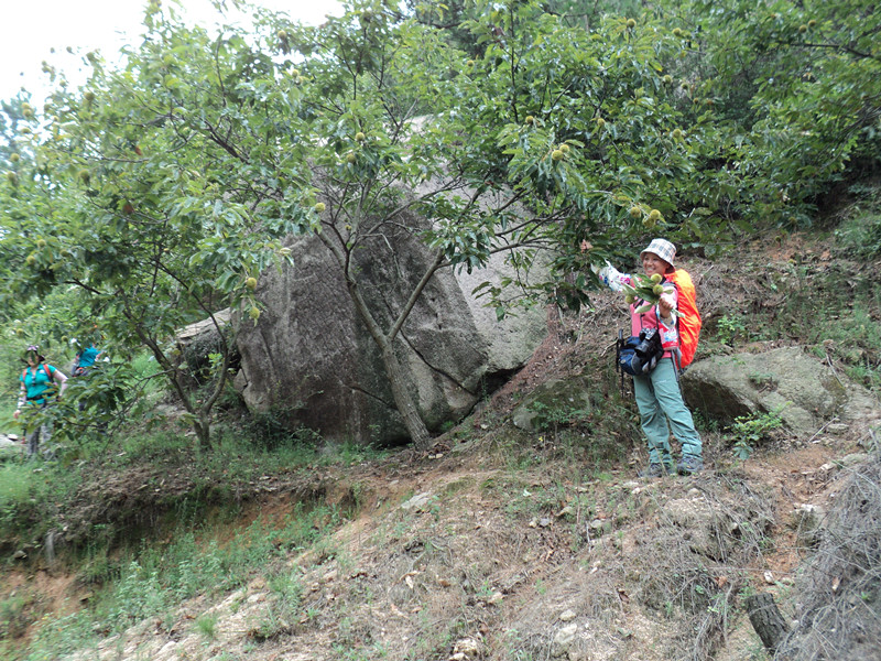 dsc05799_.jpg