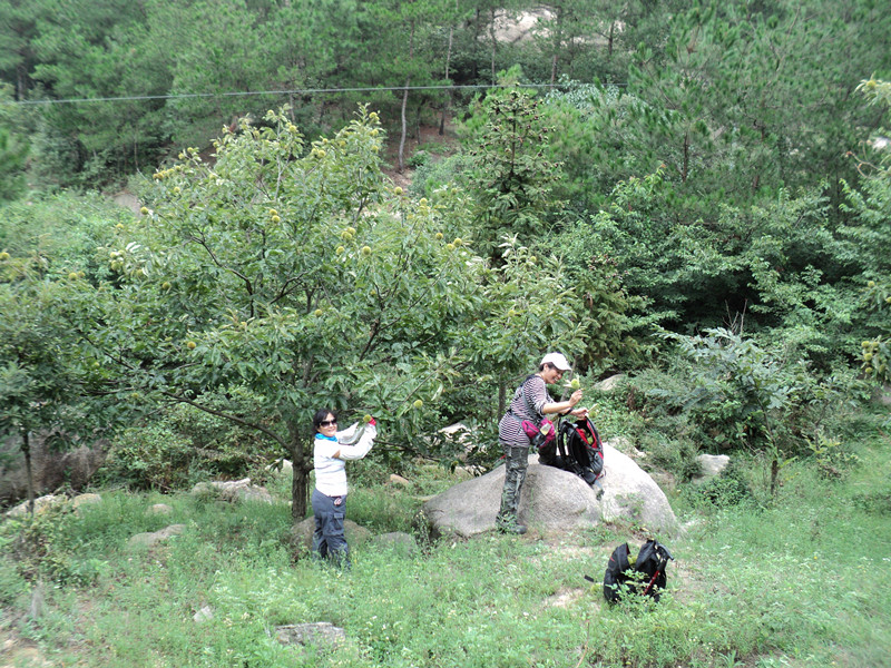 dsc05801_.jpg