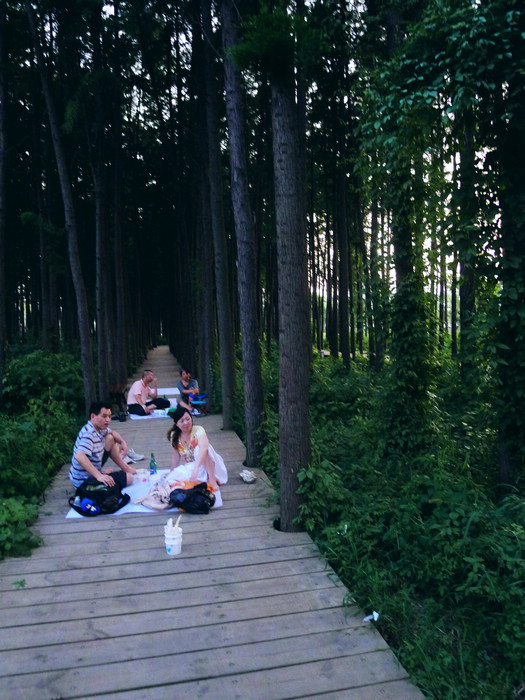 p1030427.jpg