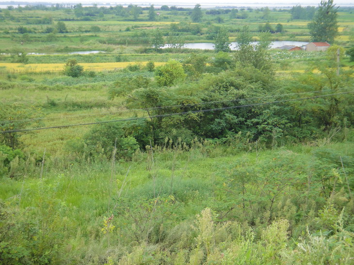 dsc05111.jpg