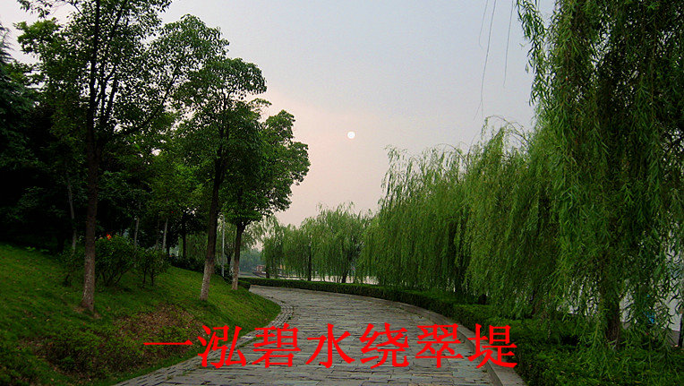 201181018331087767_.jpg