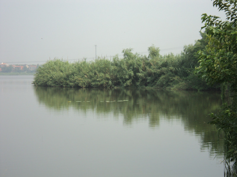 dsc05038_.jpg