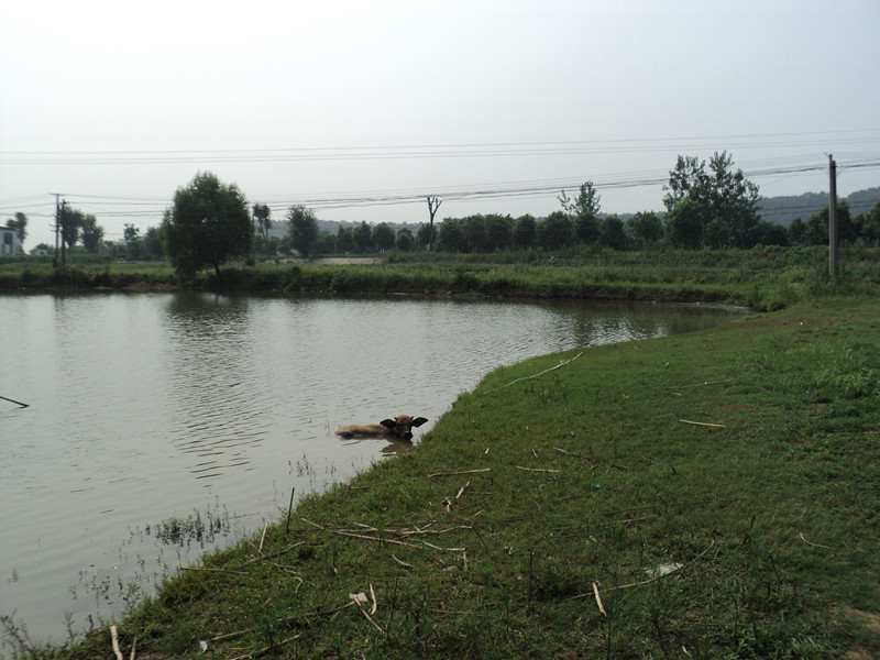 dsc05040_.jpg
