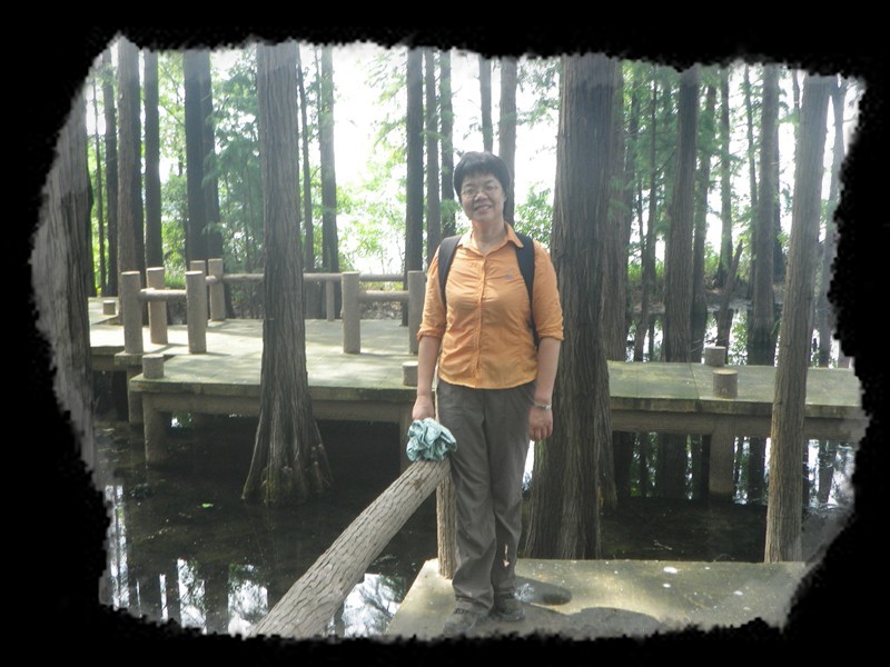 imgp0296_conew1.jpg