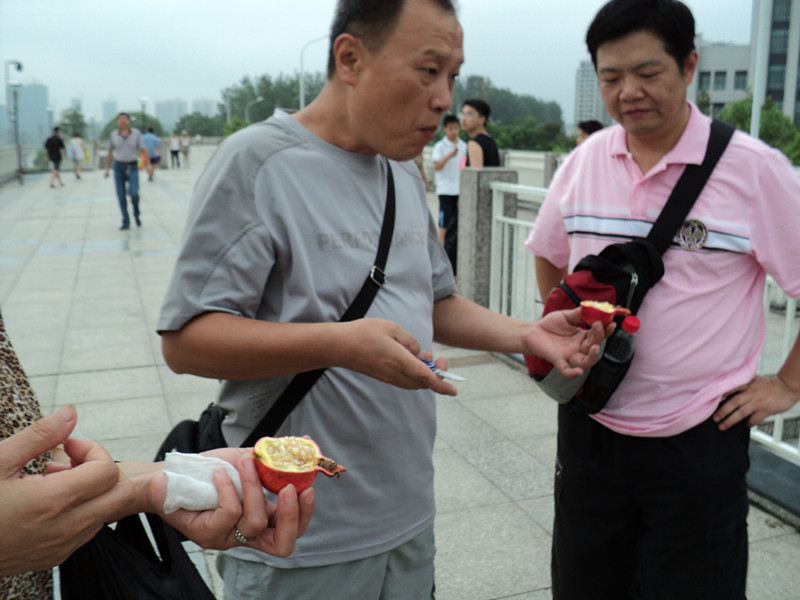 dsc05110_.jpg