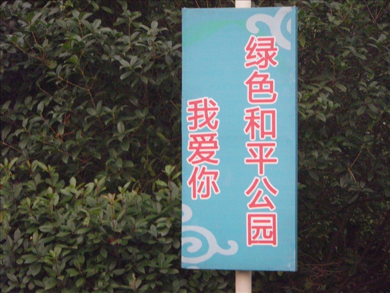 imgp0328.jpg