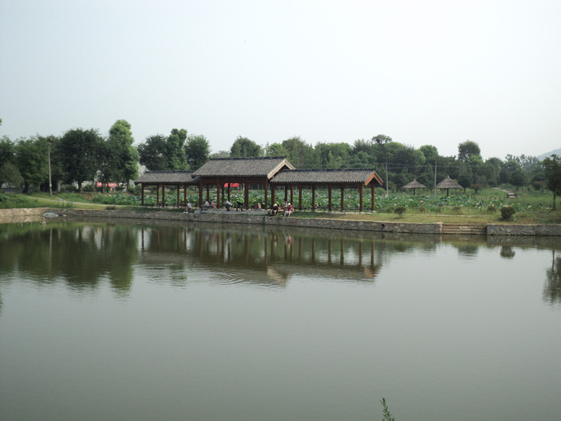 dsc05046_.jpg