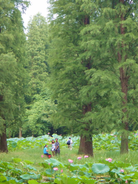 dsc03547.jpg