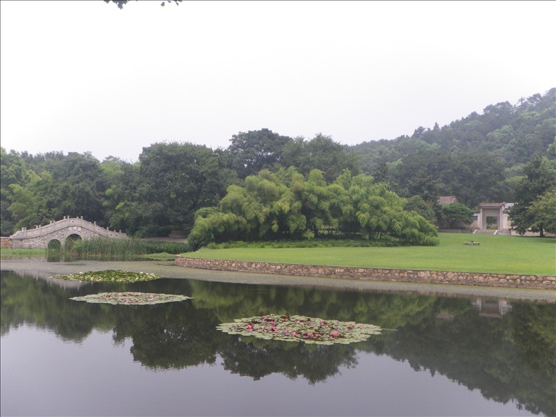 imgp0368.jpg
