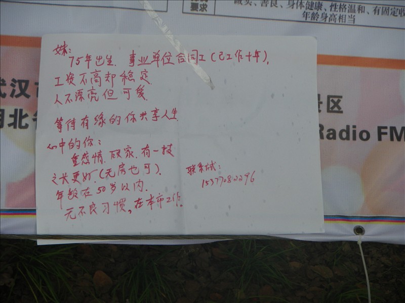 imgp0441.jpg
