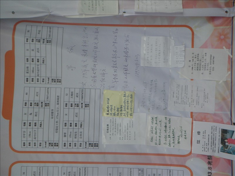 imgp0447.jpg