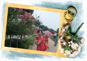 dscf0610.jpg