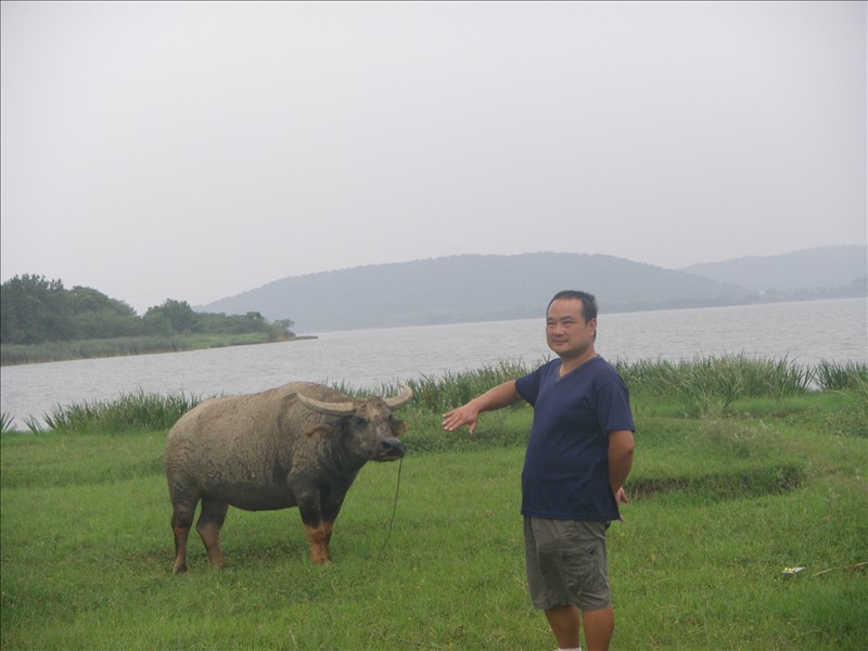 imgp0610.jpg