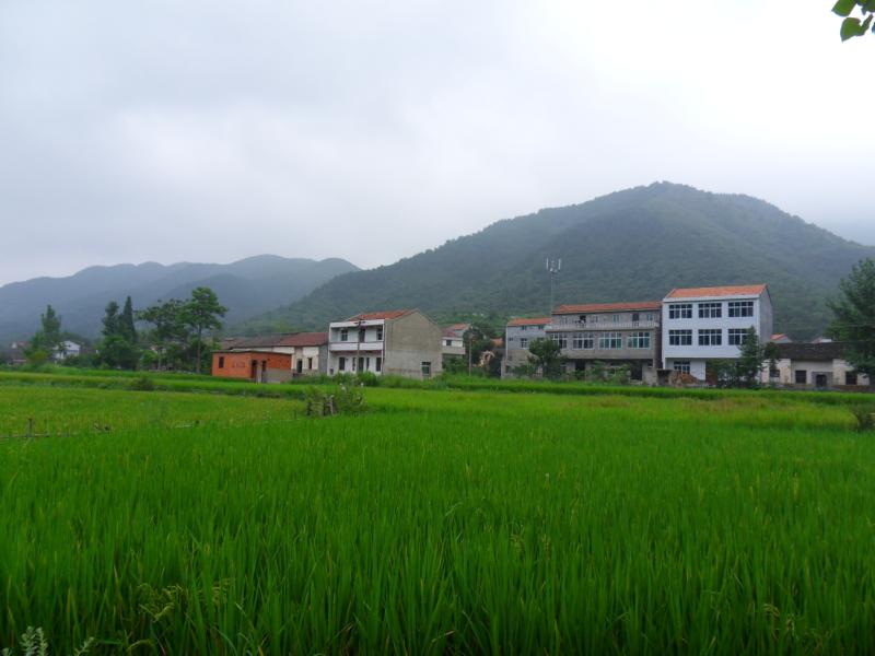 sdc10081.jpg