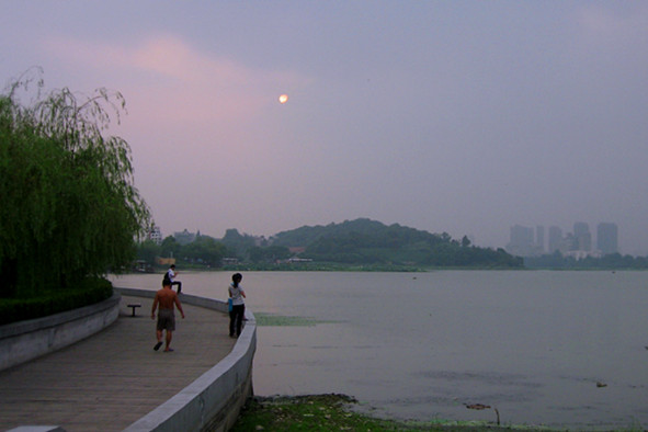img_1718_̨.jpg