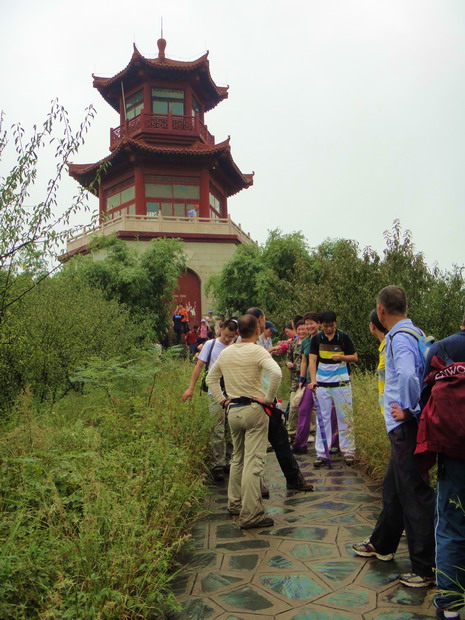 dsc05662.jpg