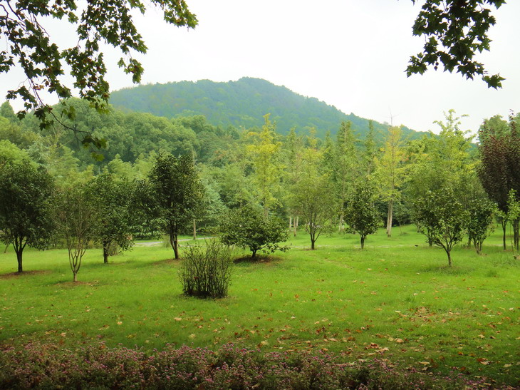 dsc05678.jpg