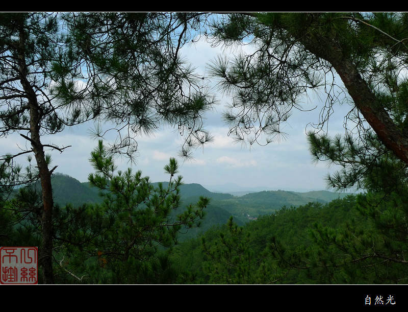 l1230408.jpg