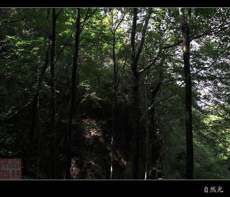 l1230443.jpg