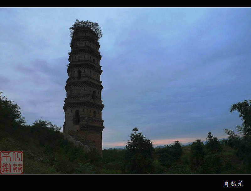 l1230535.jpg