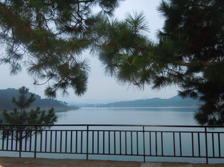 dscn4169_.jpg