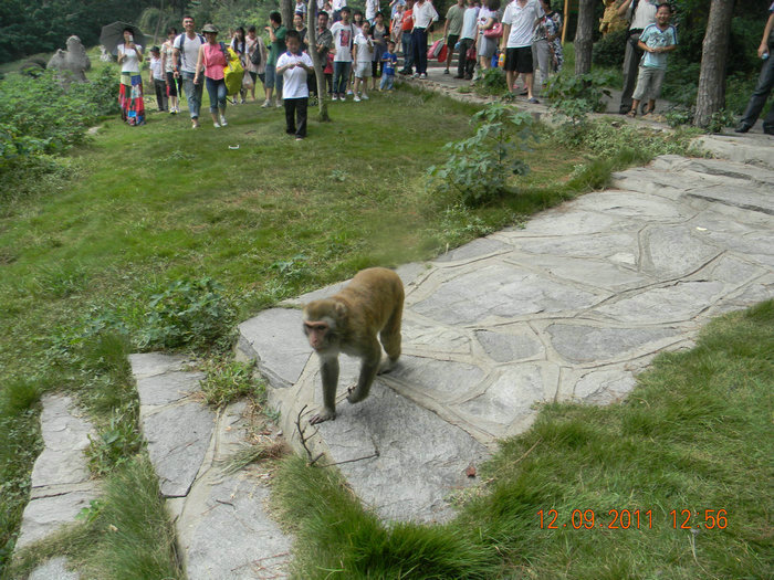 19.jpg