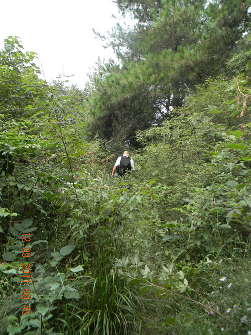 dscn7372.jpg
