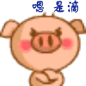 4.gif
