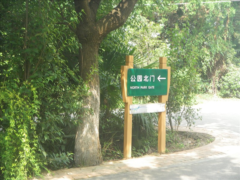 imgp1580.jpg