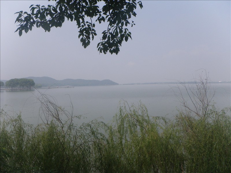 imgp1583.jpg