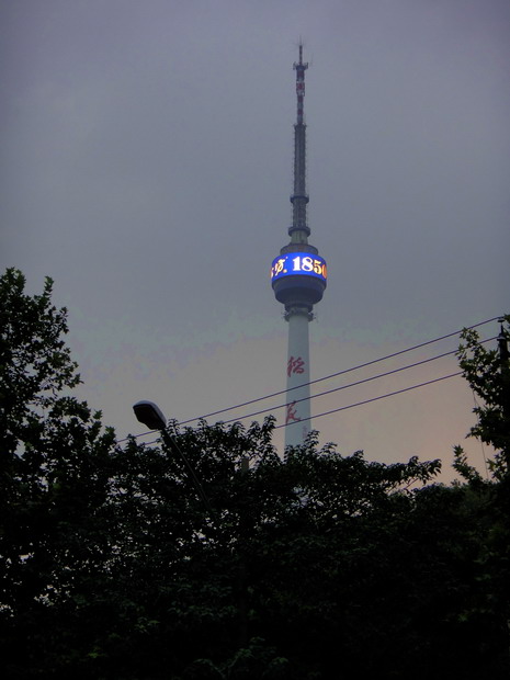dsc05751.jpg