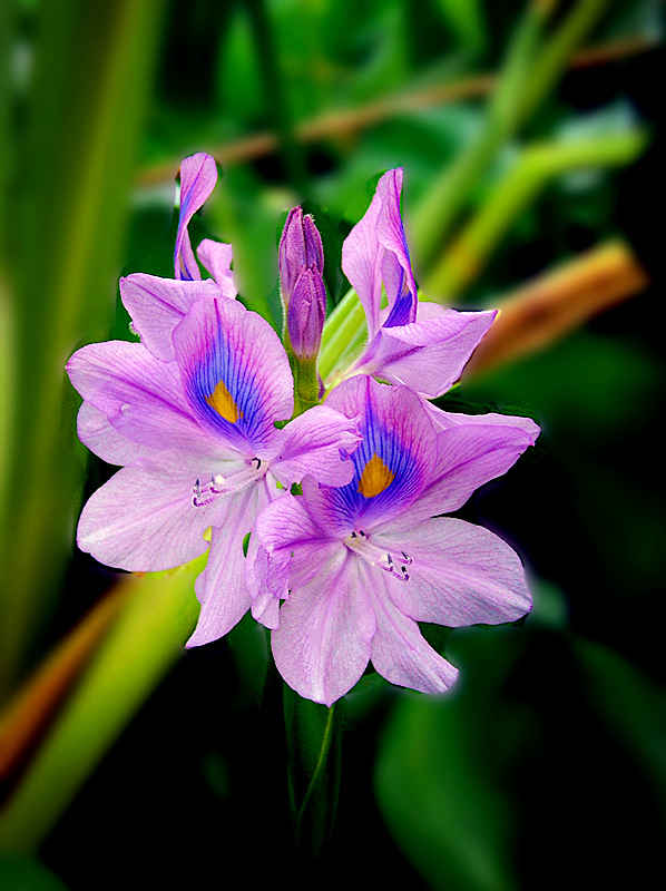 dscn0818_.jpg