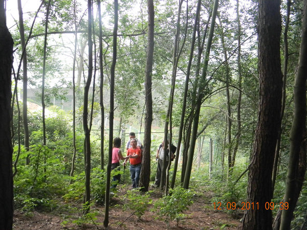 dscn7360.jpg