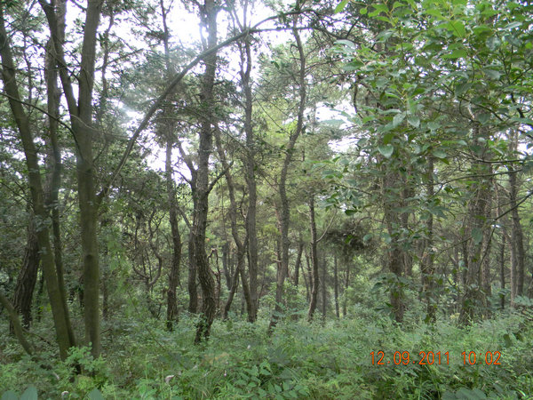dscn7395.jpg