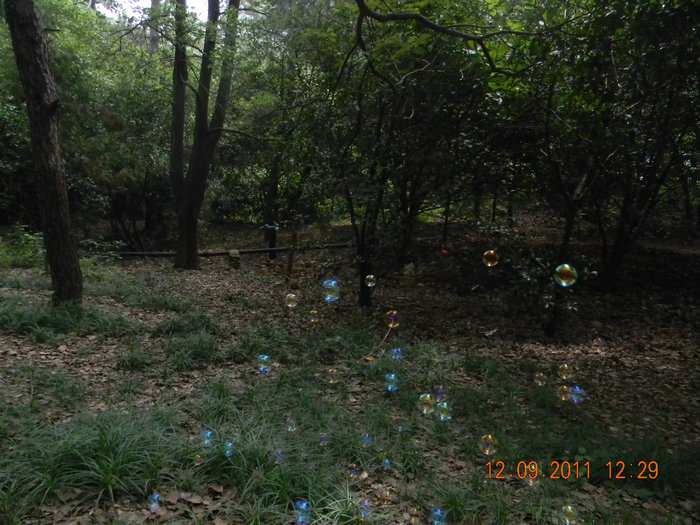 dscn7486.jpg