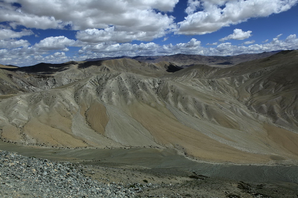 _mg_3392.jpg