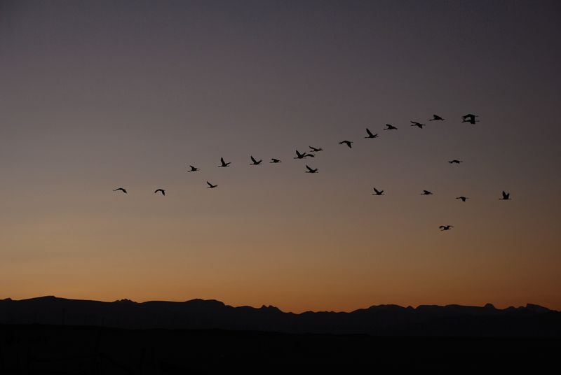dsc_0336.jpg