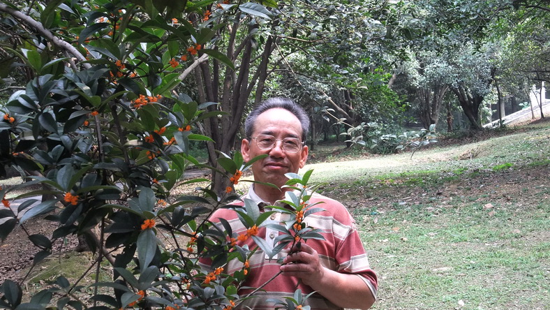 dscf4130.jpg
