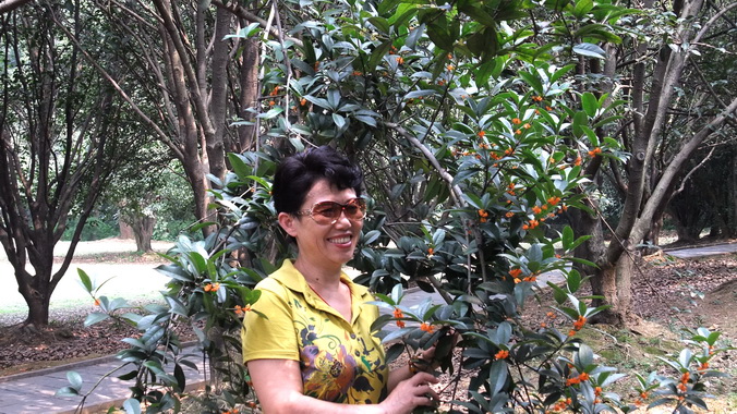 dscf4134.jpg