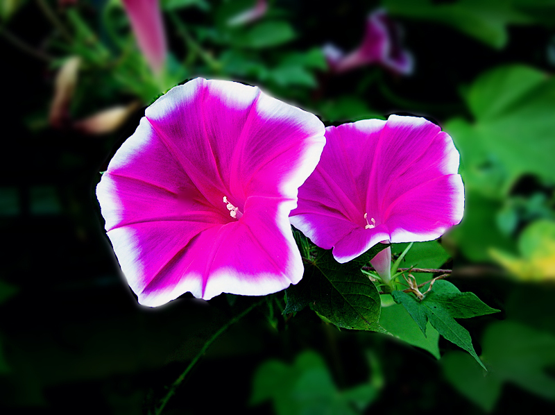 dscn0896_.jpg
