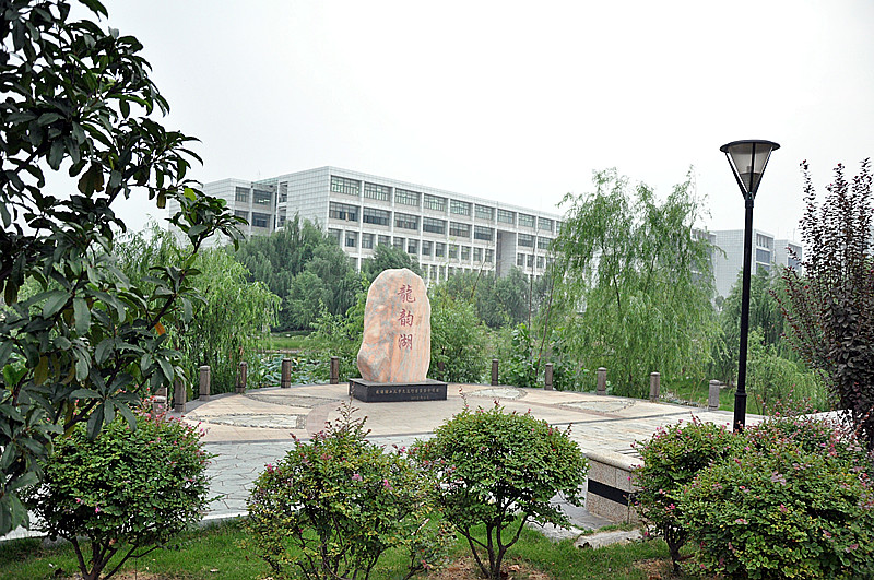 dsc_0003_.jpg
