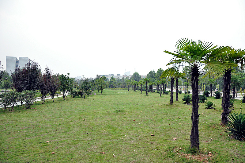 dsc_0004_.jpg