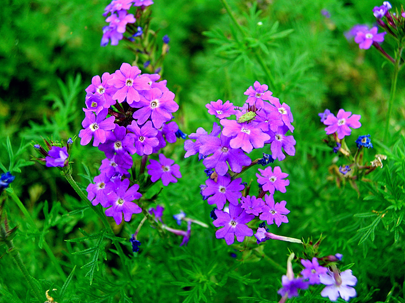 dscn0920_.jpg