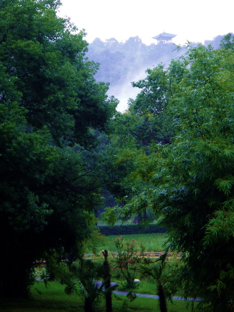 dsc05282.jpg
