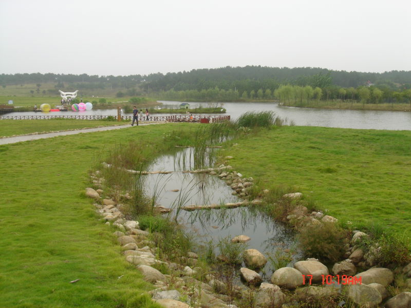 http_imgloadca9o21z2.jpg