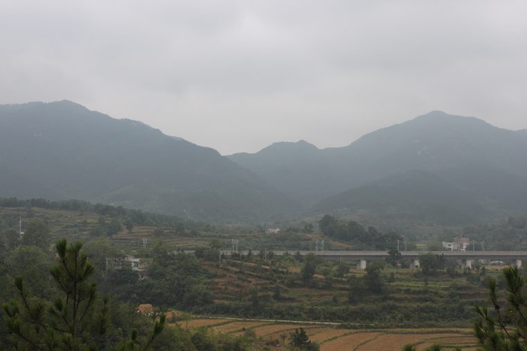 Ƭ 023.jpg