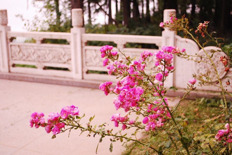 ���㵺 088.jpg