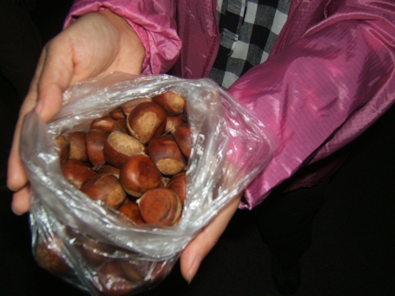 dscf6645.jpg